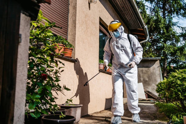 Best Emergency Pest Control  in Bridgeport, MI
