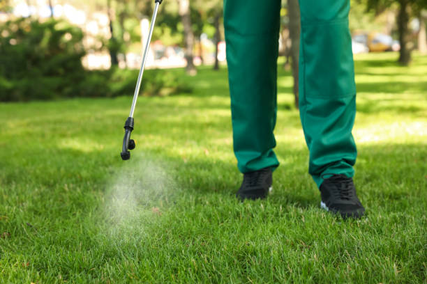 Best Rat Extermination Near Me  in Bridgeport, MI