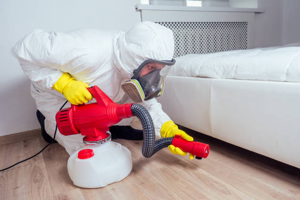 Best Wasp Removal Services  in Bridgeport, MI