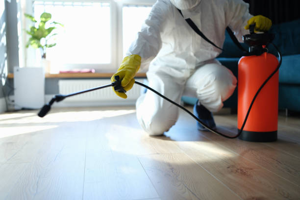 Best Insect Control  in Bridgeport, MI