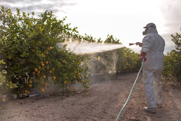 Best Mosquito Control Services  in Bridgeport, MI