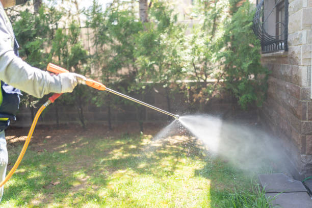 Best Best Pest Control Companies  in Bridgeport, MI