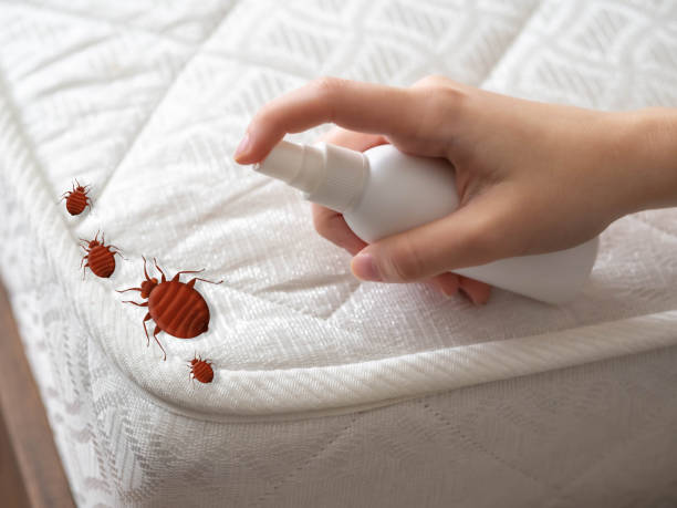 Best Ant Control Services  in Bridgeport, MI