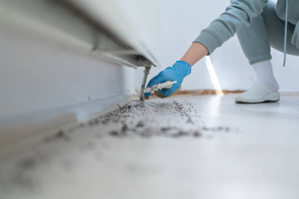 Bridgeport, MI Pest Control Company